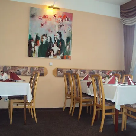 Guest house - Restaurace Duo Karlovy Vary
